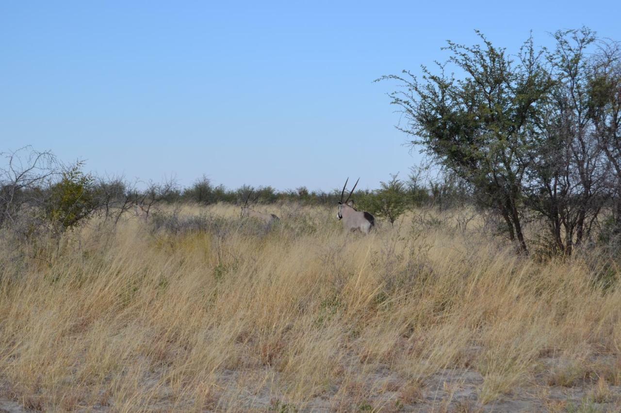 Chobe Sunset Chalets Lesoma Dış mekan fotoğraf