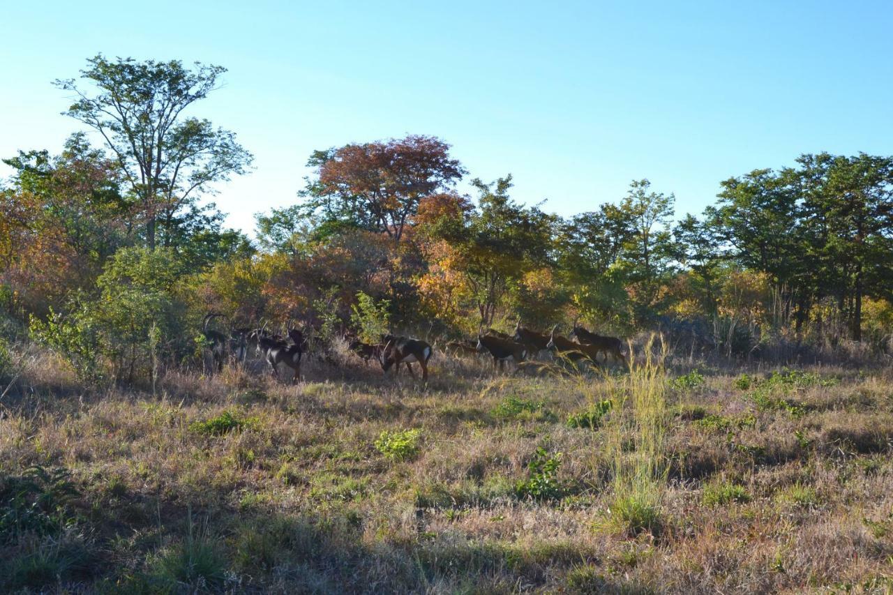 Chobe Sunset Chalets Lesoma Dış mekan fotoğraf