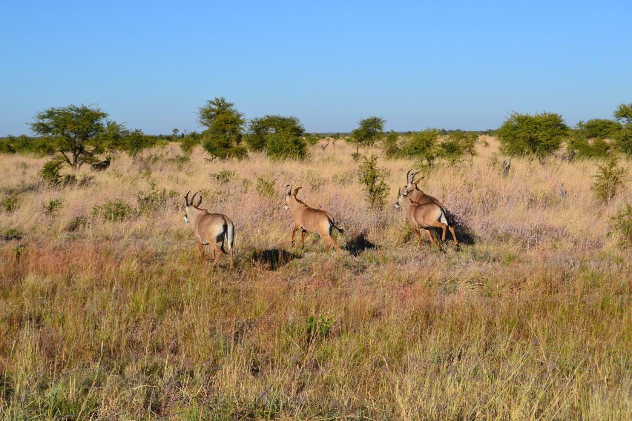 Chobe Sunset Chalets Lesoma Dış mekan fotoğraf